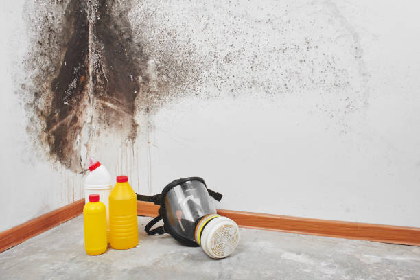 Best Toxic Mold Removal  in Emigration Canyon, UT